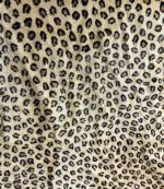 Leopard Prestige - Image 4