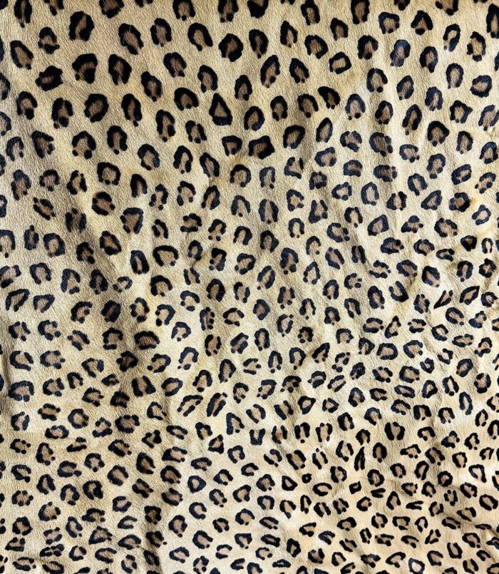 Leopard Prestige - Image 4